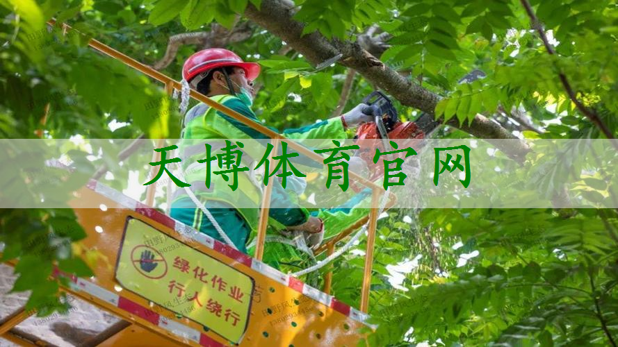 市政綠化工程講座內(nèi)容