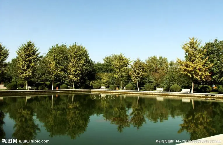 樺甸城市綠化帶種植什么植物好