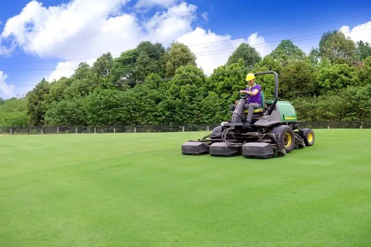 松江區小型園林綠化工程