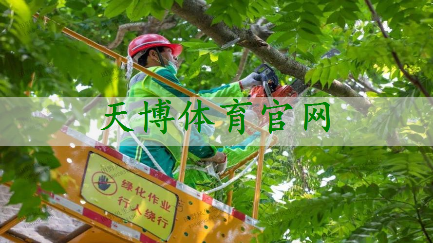 別墅靠山園林景觀設計